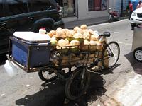 2011_08_02 dom-rep  076